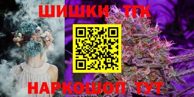мдпв Кингисепп