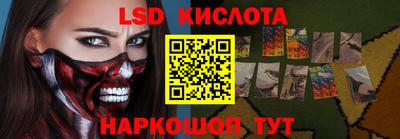 мдпв Кингисепп