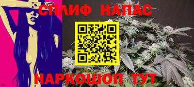 мдпв Кингисепп