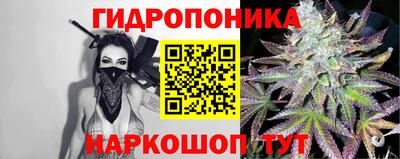 apvp Кимры