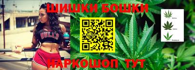 мдпв Кингисепп