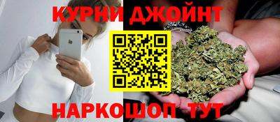 мдпв Кингисепп