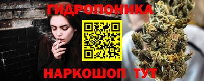 мдпв Кингисепп
