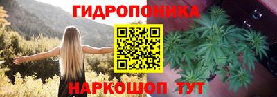 дмт Кинель
