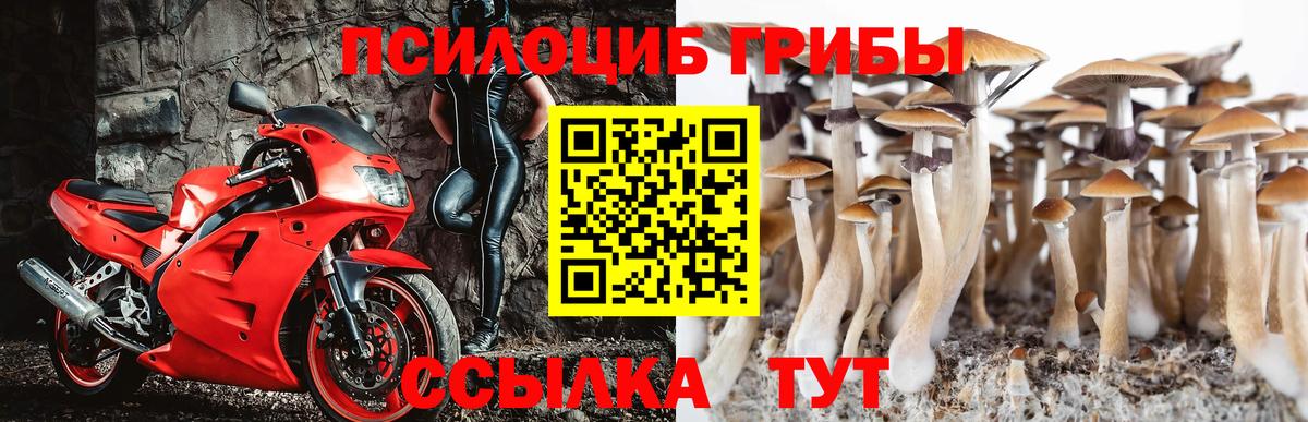 Псилоцибиновые грибы прущие грибы  Вход с VPN  Щёлково 