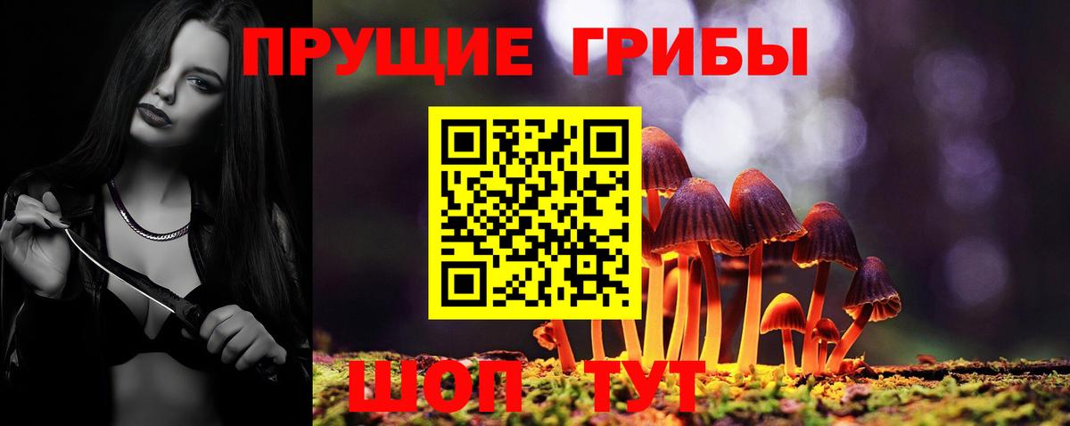 Галлюциногенные грибы мицелий Щёлково